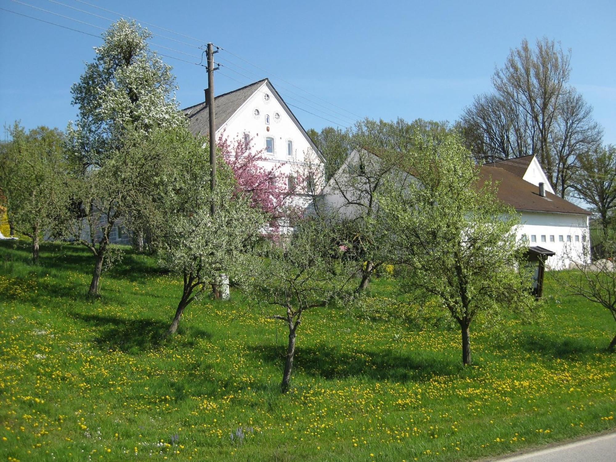 Comfortable Apartments In Rotthalm Nster Rotthalmuenster Esterno foto