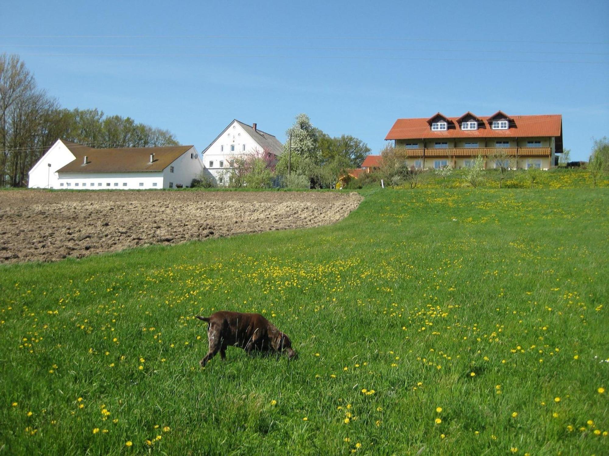 Comfortable Apartments In Rotthalm Nster Rotthalmuenster Esterno foto